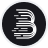 Bi**rtPerps